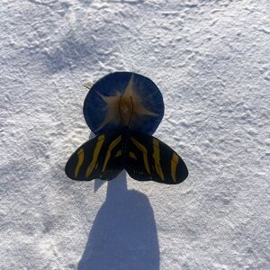 Yellow and Black Decorative Fish Ornament - Franklin
Mint